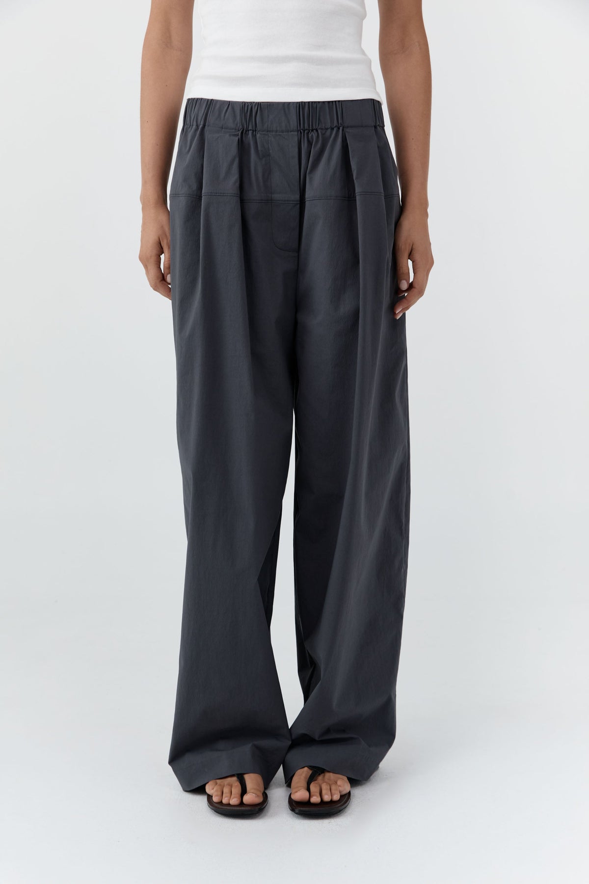 Relaxed Pleat Pants - Iron Glaze