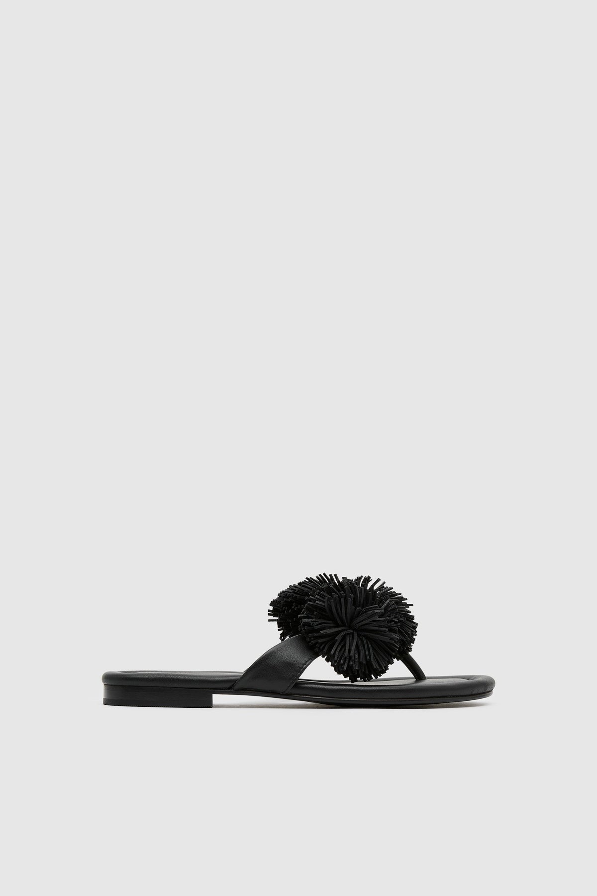 Urchin Slide - Black - Ghost