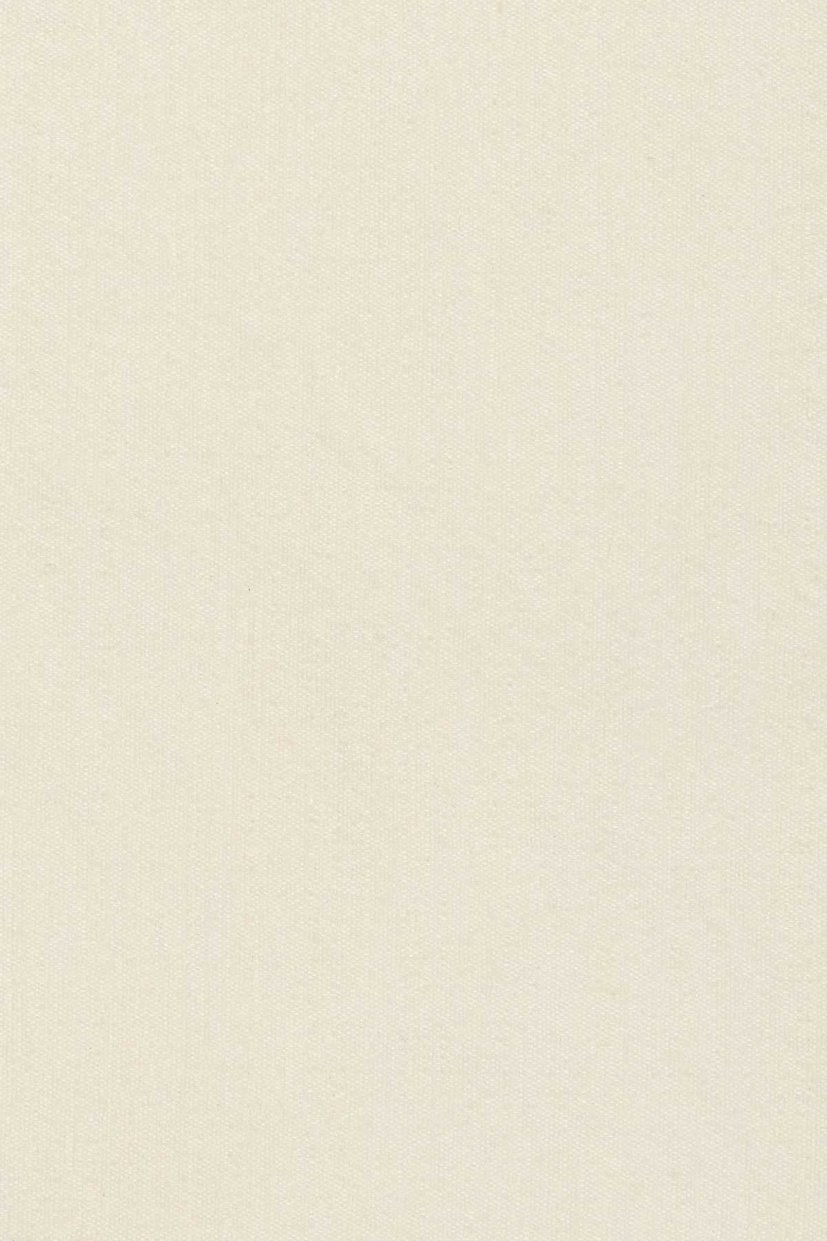 Raw Silk Draped Bodice - Cloud Cream